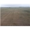 Image 8 : 281 +/- Acres of Pratt Co Dryland