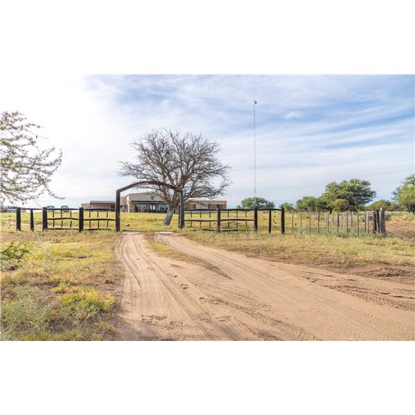 Diamond Pursuit - Private Argentina Safari for 4 Hunters & 4 Guests