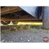 Image 17 : DUMP TRAILER : 2007 Trailtech : 14ft