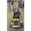 Image 1 : Sweeper (Gas) (Measures: 48"H x 24"W x 44"D)
