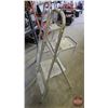 Image 2 : Aluminum 2ft Step Ladders (2)