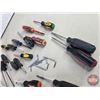Image 2 : Grouping : Variety Screwdrivers