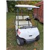 Image 1 : Yamaha Gas-Powered Golf Cart - Tested