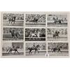 Image 4 : 1936 Olympic Horse Back Riding Real Photo Postcards 70+