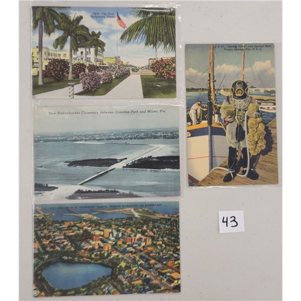 Florida Postcards 220+