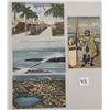 Image 1 : Florida Postcards 220+