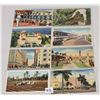 Image 4 : Florida Postcards 220+