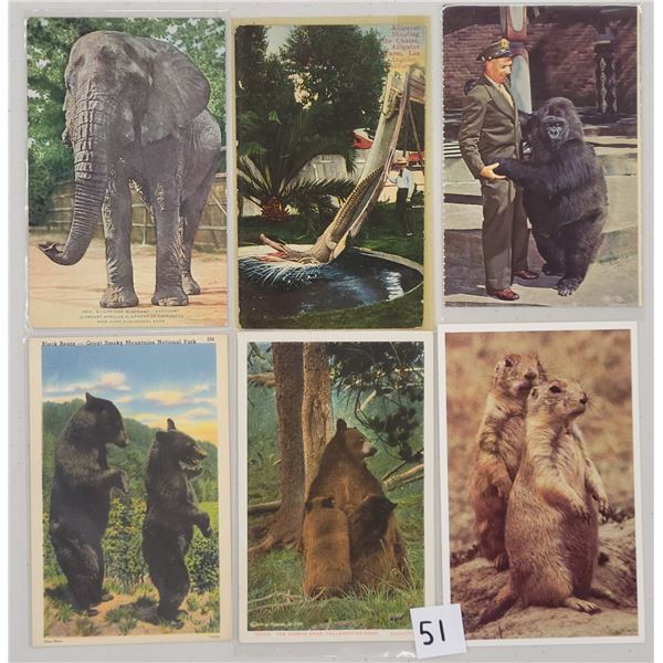 Animals Approx. 160 Postcards