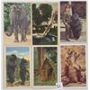 Image 1 : Animals Approx. 160 Postcards