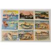 Image 2 : Fishing Comic & Humor Postcards 35+
