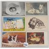Image 1 : Animals - Cats & Kitten Postcards 80+