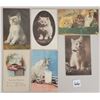 Image 2 : Animals - Cats & Kitten Postcards 80+