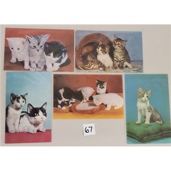 Animals - Mainzer Cat Postcards 18