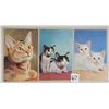 Image 3 : Animals - Mainzer Cat Postcards 18