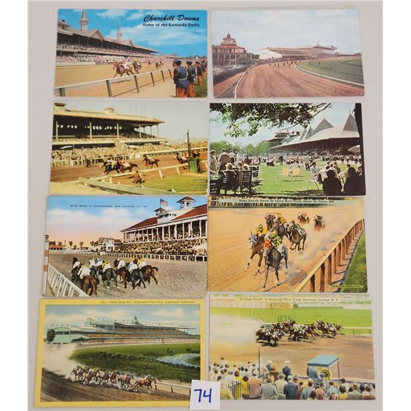 Animals - Sports - Horse Racing Postcards Approx. 85