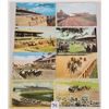 Image 1 : Animals - Sports - Horse Racing Postcards Approx. 85