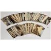 Image 3 : International Street Scene Postcards Approx. 85