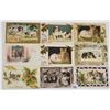 Image 2 : Animals - Christmas Cats & Dog Postcards 24