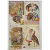 Image 3 : Thanksgiving Holiday Greetings with Turkeys, Girls, & Ladies Postcards 40
