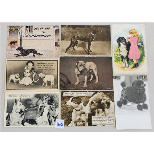 Animals - Dog Postcards 28
