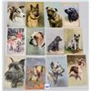 Image 2 : Animals - Dog Postcards 28