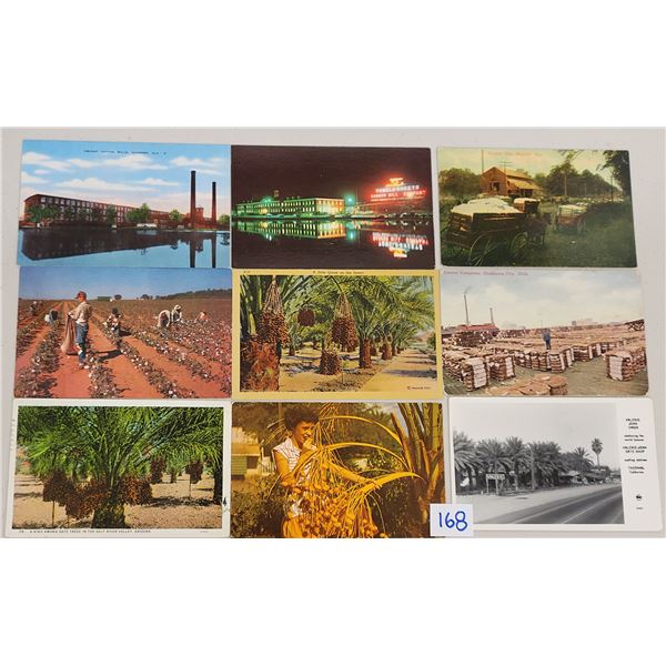 Date Palm Farming Postcards 285+