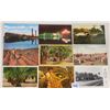 Image 1 : Date Palm Farming Postcards 285+