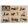 Image 2 : Sports - Bullfighting Postcards Approx. 60