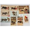 Image 3 : Sports - Bullfighting Postcards Approx. 60
