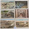 Image 1 : Mining Trains & Railroad Postcards 17