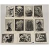 Image 1 : Cactus Approx. 235 Postcards Black & White Showing Different Species