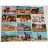 Image 2 : Western - Cowgirl Postcards Approx. 95