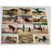 Image 2 : Western - Rodeo Approx. 45 Postcards