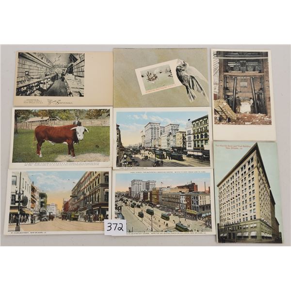 Lots & Pictures to be added daily!