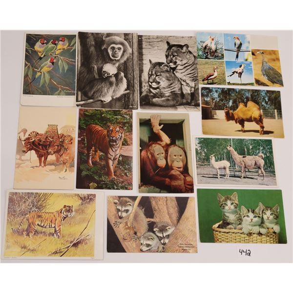 Lots & Pictures to be added daily!