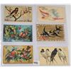 Image 4 : Greetings with Birds Postcards 85