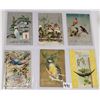 Image 6 : Greetings with Birds Postcards 85