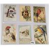 Image 7 : Greetings with Birds Postcards 85