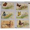 Image 8 : Insects on Greeting Postcards Album of Approx. 125