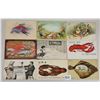 Image 1 : 23 Postcards of Seafood - Marine Life