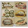 Image 1 : 7 Shell border, Fruit, Crayfish Baltimore, Maryland Postcards