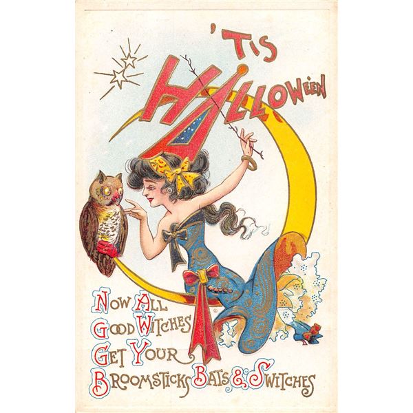 Tis Halloween Lady with Owl on Moon Holiday Greeting Postcard