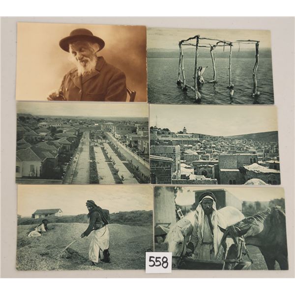 Lots & Pictures to be added daily!