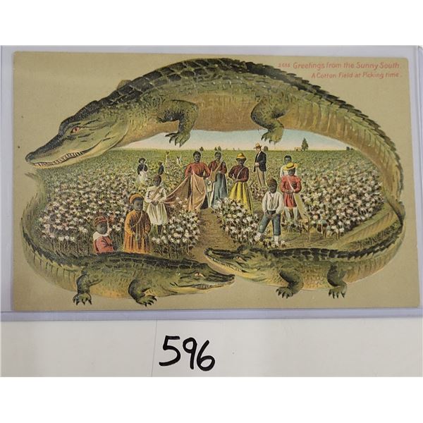 Alligator Border #655 A Cotton Field at Picking Time Black Americana Postcard