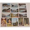 Image 2 : Alaska Collection of Famous "Photo-tint" View From Totem Igloo Curio Kodiak Postcards 47