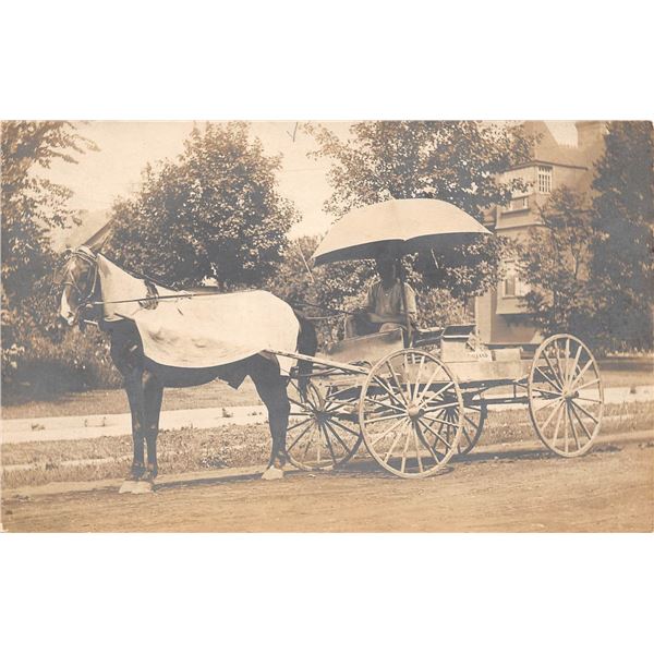 Lots & Pictures to be added daily!