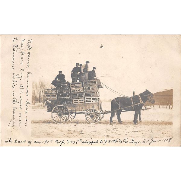 Lots & Pictures to be added daily!