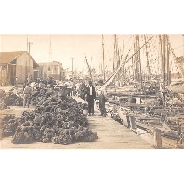 Lots & Pictures to be added daily!