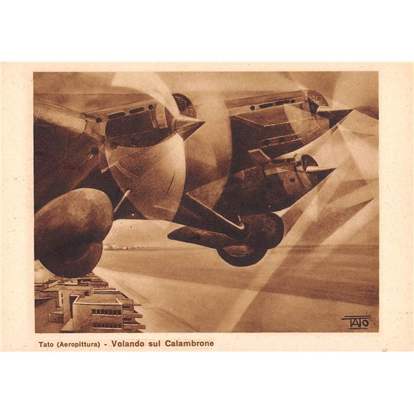 Airplane Flying on the Bumblebee Tato Aviation Postcard