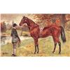 Image 1 : Set of 6 John Beer "British Race Horses" Greeting Postcards